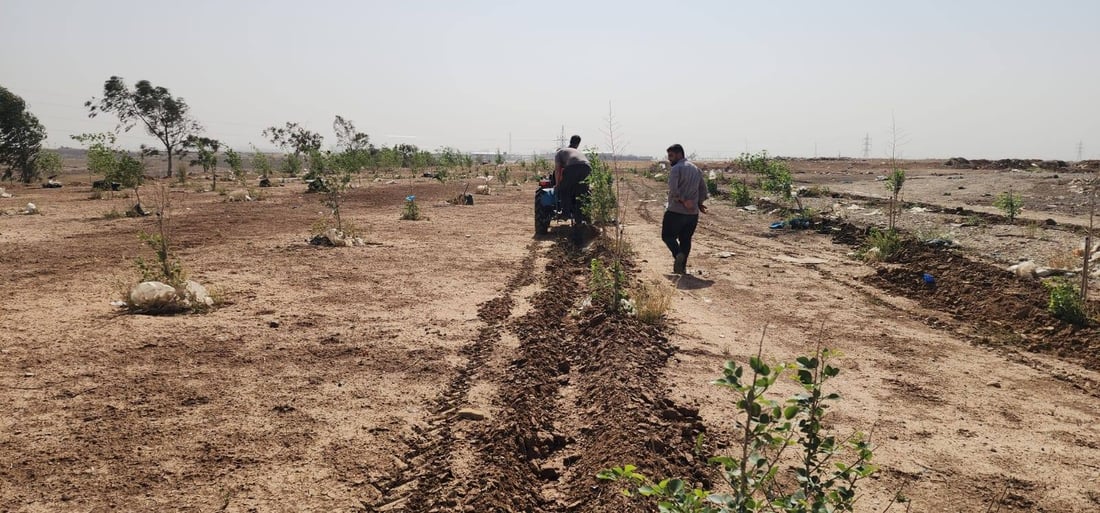 زبڵخانەی کانی قرژاڵە دەکرێت بە باخچەیەکی گشتی و دارستانێکی جوان