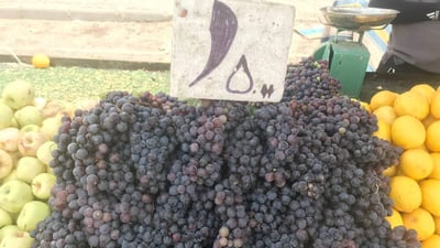 سوق البياع يحتفل بتفاح وعنب بلد.. الأسعار أرخص والزبائن من كلّ الكرخ (صور)