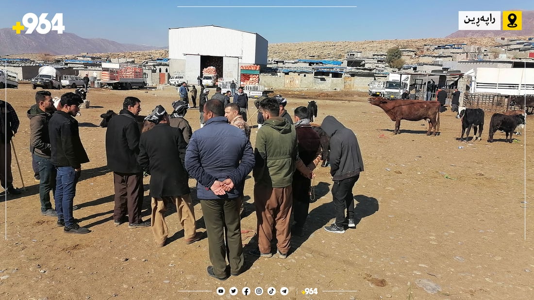 خواست لەسەر ئاژەڵی ناوخۆیی زیادی کردووە