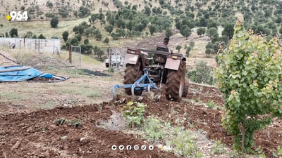 عێراق كشتوكاڵی بەراوی قەدەغەكرد