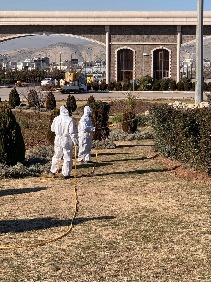 هەواری شار دژ بە گەرای کرمی حەفار دەرمانڕێژی پارکەکەی دەکات