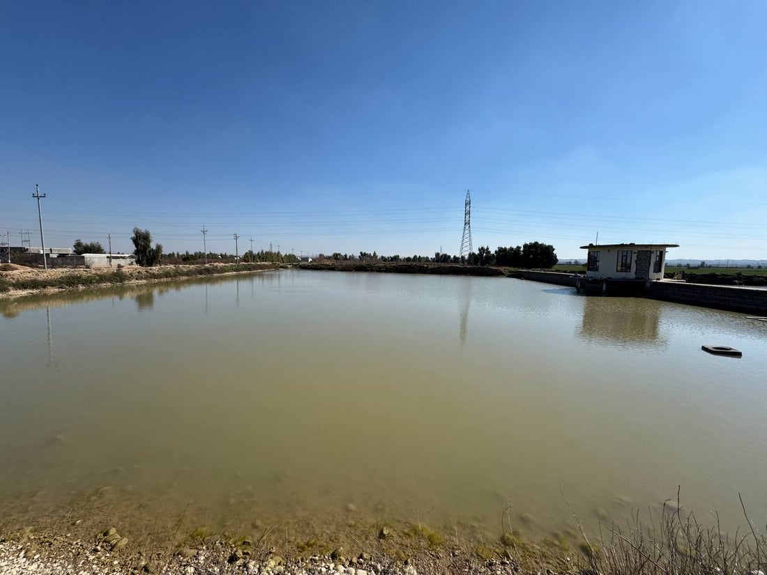 کارەبای حەوزە ماسییەکانی خانەقین بڕاوە و خاوەنەکانیان سەرگەردان بوون