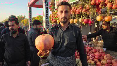 بە کیلۆیەک و 300 گرام؛ گەورەترین هەنارى فێستیڤاڵە کەبوو