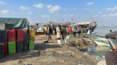 السمك العراقي يعود إلى مرسى النقعة بعد تحسن الطقس.. قائمة بأسعار مزاد الأحد