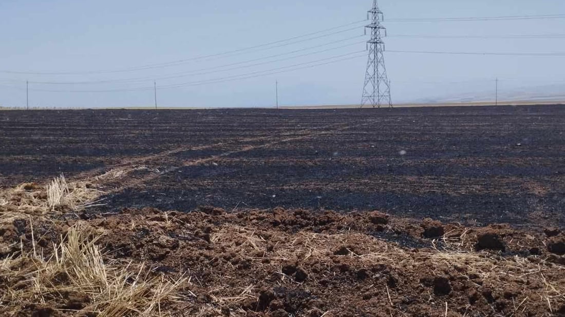 دوو هاوڵاتى لەسەر سووتاندنى 100 دۆنم پەرێزى گەنم دەستگیرکران
