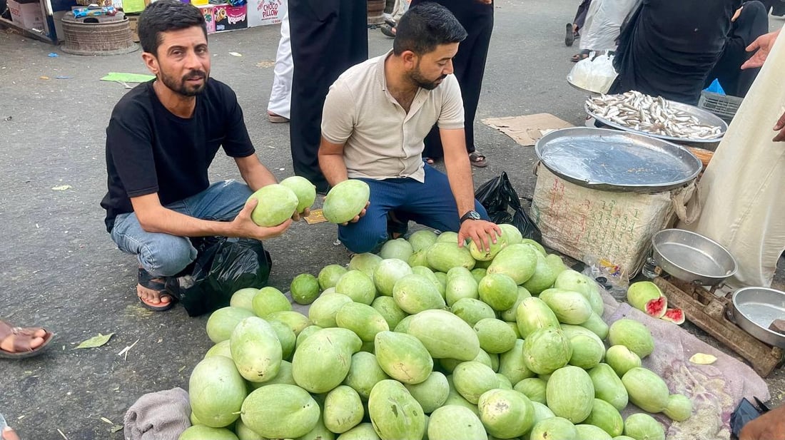 “لذيذ للغاية” وخفيف.. “القزمي” أدهش عشاق الرقي بعد أول تجربة في البصرة (صور)