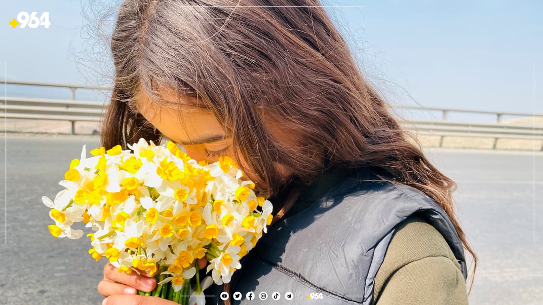 منداڵە نێرگز فرۆشەکانی لۆفەی سپیلک