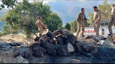 لە ناحیەی بەرزنجە چوار کورەی دروستکردنی خەڵوز دۆزرانەوە