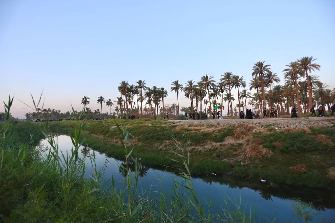 صور من بساتين بابل.. حشود الزائرين تشق طريقها نحو كربلاء مشياً على الأقدام