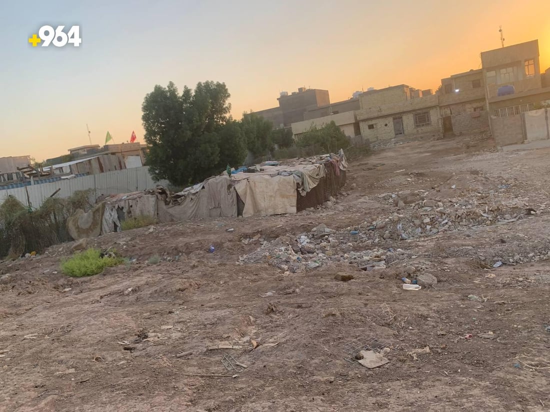 صور: أغنام حي آسيا في الدورة تقاوم الإزالة منذ عهد صدام وتهوي بأسعار العقار!