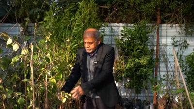 “اشلع النخلة وازرع نبگة ونارنجة” بنصيحة فاضل عجيمي!