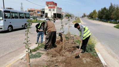 دار و گوڵەكانی جووت سایدی بنەسڵاوە سەرپەلكران