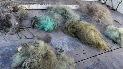 له‌ ئاوى سیروان ده‌ستبه‌سه‌ر ژماره‌یه‌ك تۆڕى ماسی گیرا