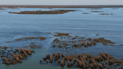 Iraq’s marshlands revived as water levels reach five-year high