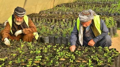 نەمامگەی پارکەکانی هەولێر ساڵی یەک ملیار دینار دەگەڕێنێتەوە خەزێنەی حکومەت