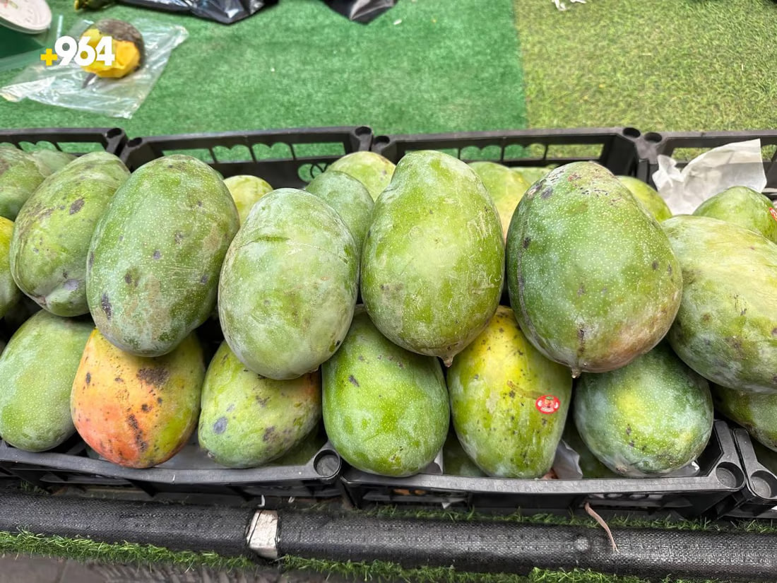 964mediaصورة من منصة (شبكة): 