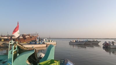 7 أنواع للأسماك في النقعة الجمعة.. جربوا “البرطام” ولن تندموا (صور)