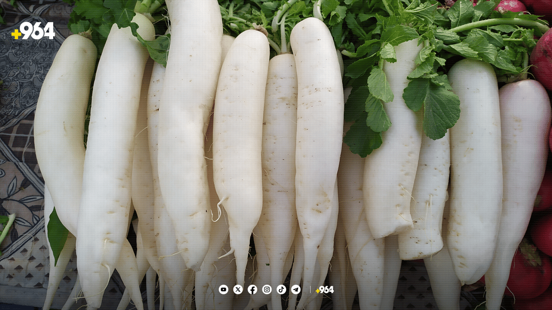 ناوبانگی “تور”ی قەڵبەزە بازاڕی تەنیوە