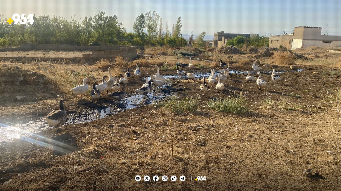 هەولێر لە هەڵەبجە بێ خزمەتگوزارییە