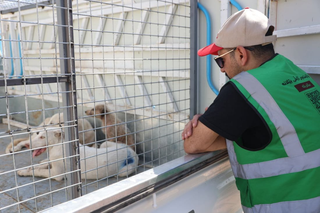 964mediaصورة من منصة (شبكة): 