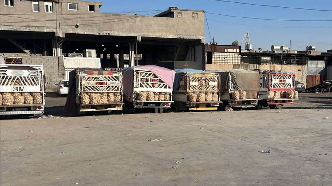 هاوردەکردنی چەند بەرهەمێکی کشتوکاڵی قەدەغەکران