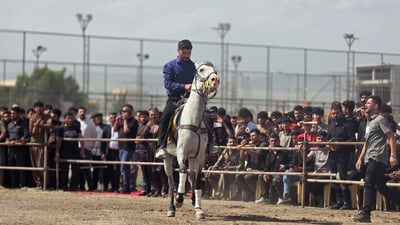 فێستیڤاڵی ئەسپسواری لە شارەزوور بەڕێوەدەچێت