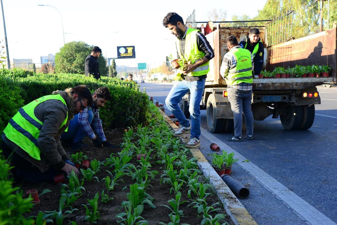 هه‌ولێر پڕ له‌ گوڵى (هه‌میشه‌ به‌هار) ده‌كرێت