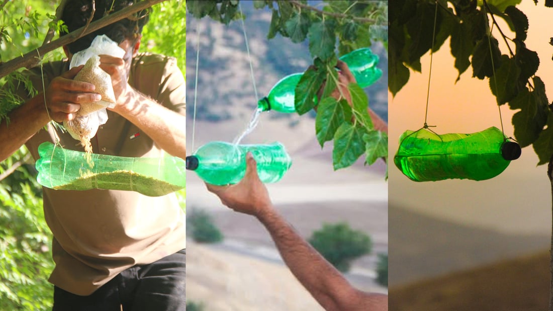 Halabja man helps birds survive drought with DIY feeders
