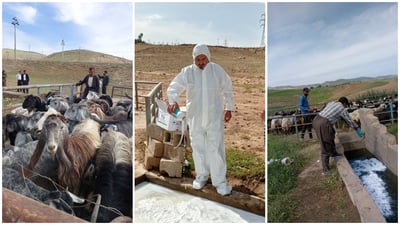 كردستان تطلق حملة تعقيم شاملة لمواجهة الحمى النزفية وتستعين بالمساجد للتوعية