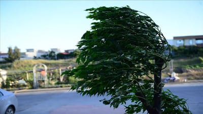 “بایەکی بەهێز بەرەو کوردستان بەڕێوەیە”