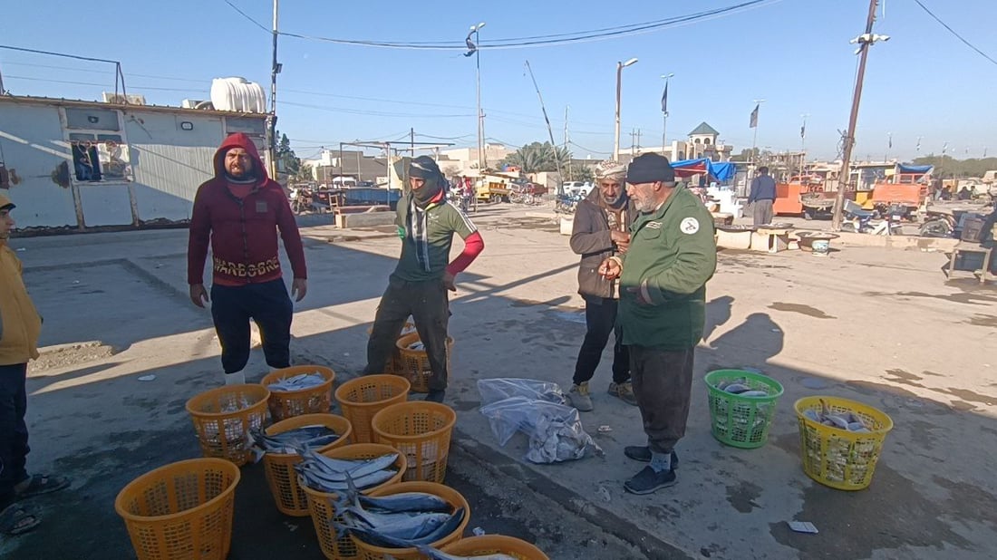 الأكالة يبحثون عن بيوض السمك في نقعة الفاو.. علبة “الثروب” بـ10 آلاف (صور)