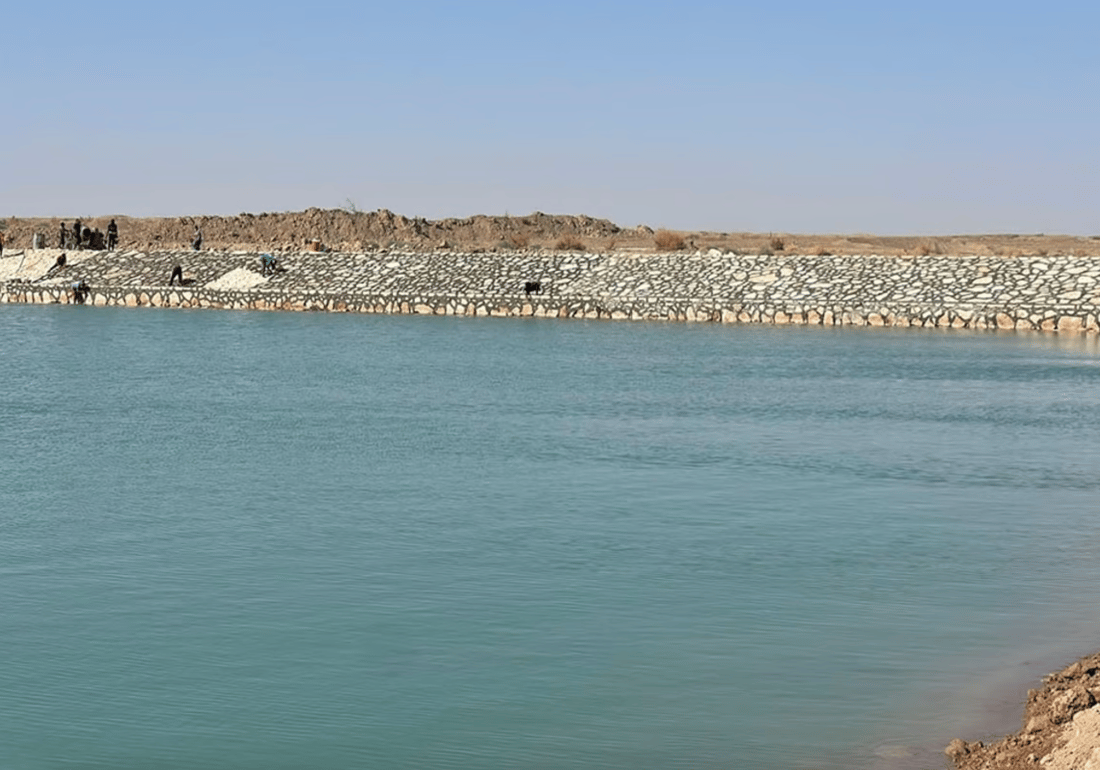 964mediaصورة من منصة (شبكة): 