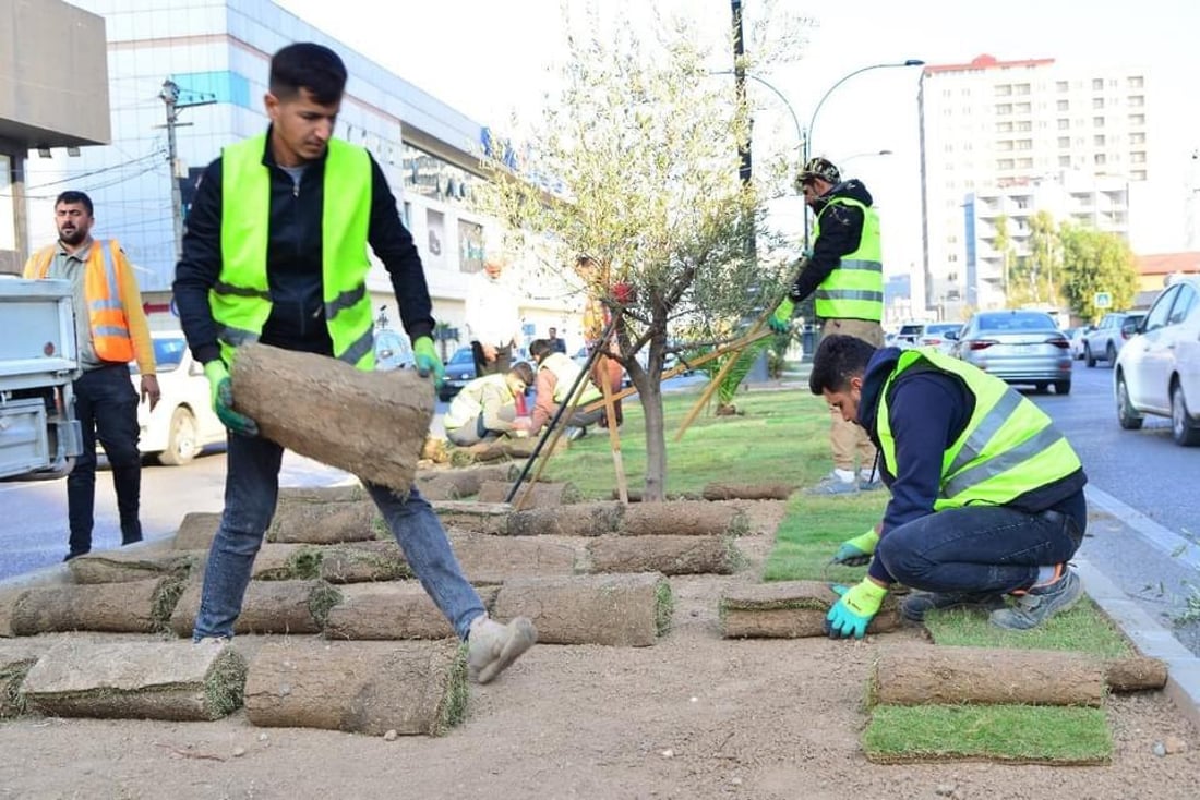 قۆناغی دووەمی چاندنی فریزی فەرش لە دورگەی ناوەندی شەقامی کەرکووک دەستیپێکرد