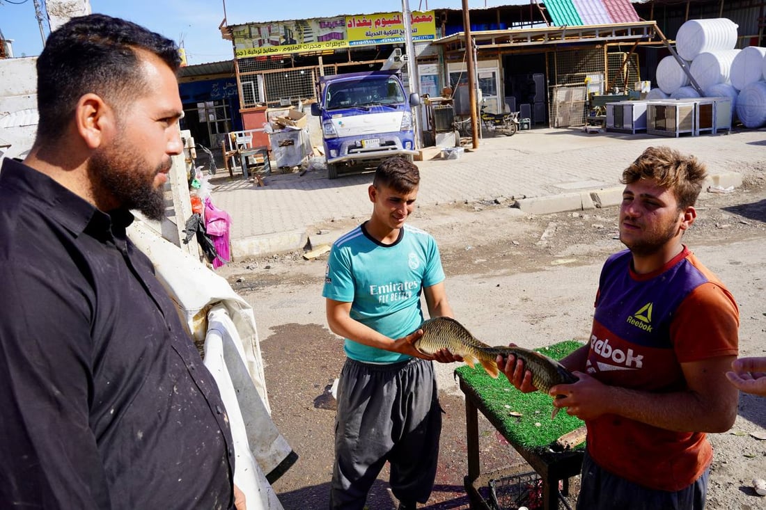 تحطيم أسعار بين باعة السمك والكيلو إلى 6 آلاف.. مدخل بعقوبة مزدحم بـ 50 سيارة