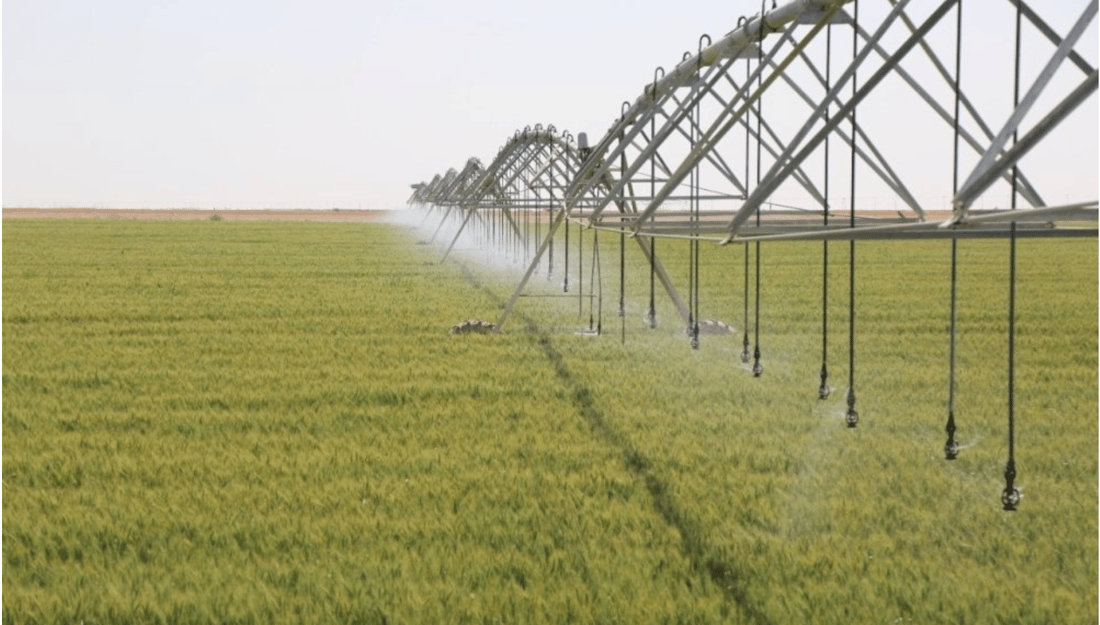 Agriculture Ministry launches 2025–26 winter plan after drought delays