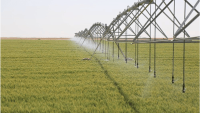 Agriculture Ministry launches 2025–26 winter plan after drought delays