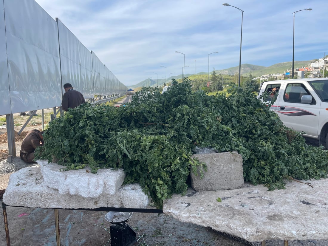 نۆبەرەی فەریکە نۆکەکەی گەرمیان لە بازاڕی سلێمانییە