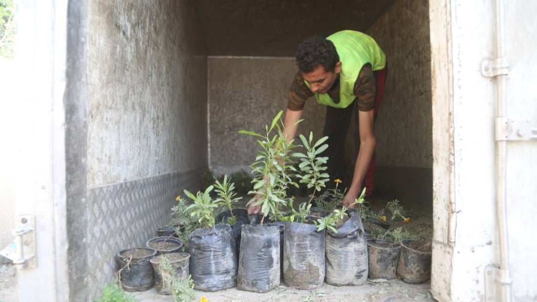 اختتام حملة “المدارس الخضراء” في مدينة الصدر.. بزراعة 13 ألف شجرة في 14 مدرسة