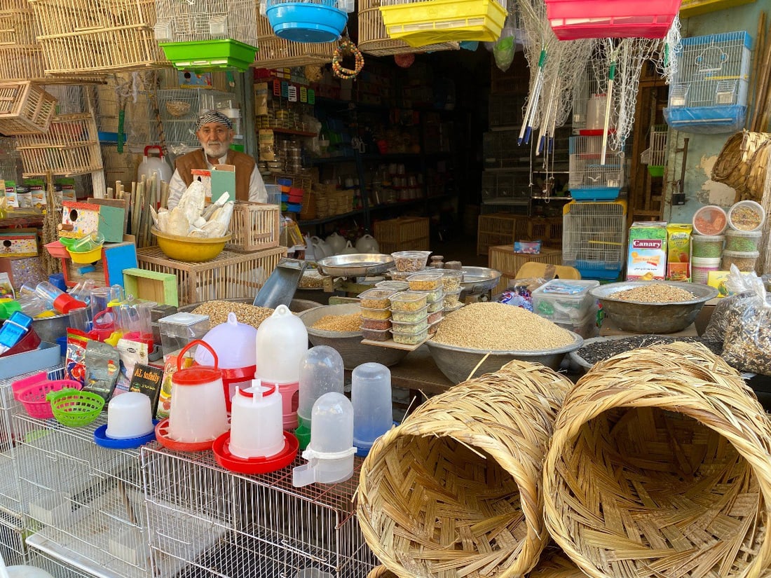 ملتقى “الجنّاية” منذ الخمسينيات.. جولة صورية داخل أقدم سوق للطيور في ميسان