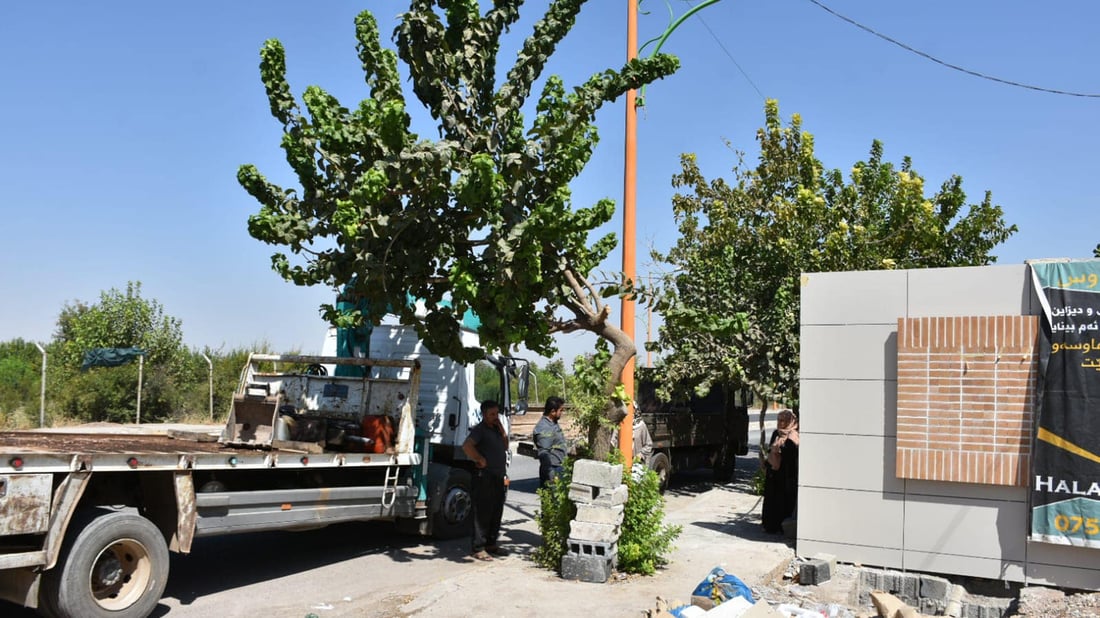 له ‌هه‌ڵه‌بجه‌ دارێك بووه‌ته‌ رێگر له‌به‌رده‌م دروستكردنى مزگه‌وتێك