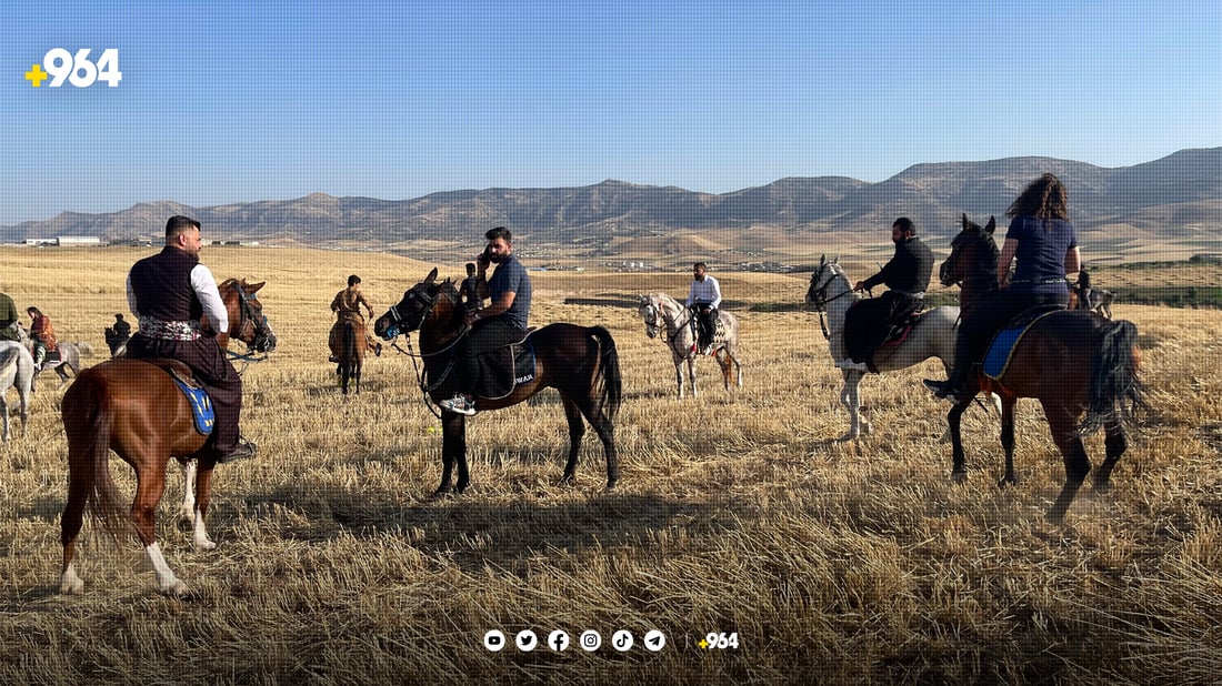 فێستیڤاڵێک بۆ ئەسپی رەسەنی کوردی لە سلێمانی بەڕێوەچوو