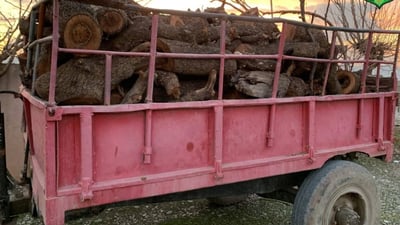 Man arrested for illegal logging in Zharawa as deforestation concerns mount