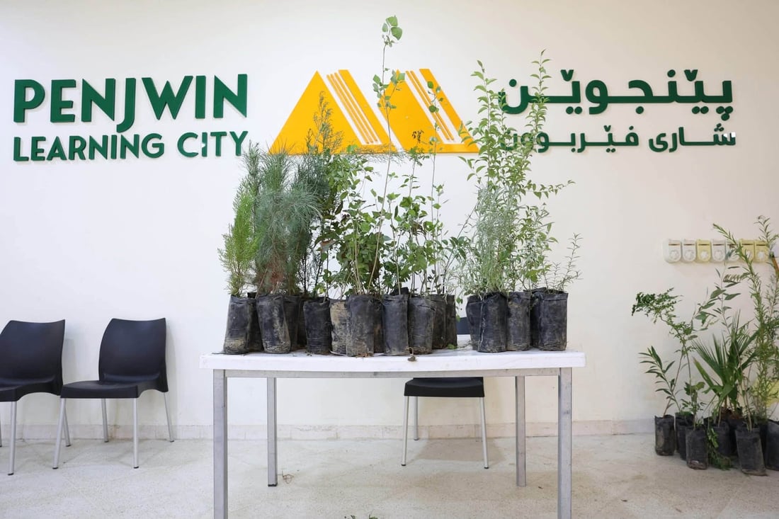پێنجوێن بە 30 هەزار نەمام سەوزتر دەکرێت