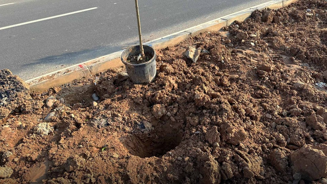 300 داری لانگستروم لە زاخۆ چێندرا