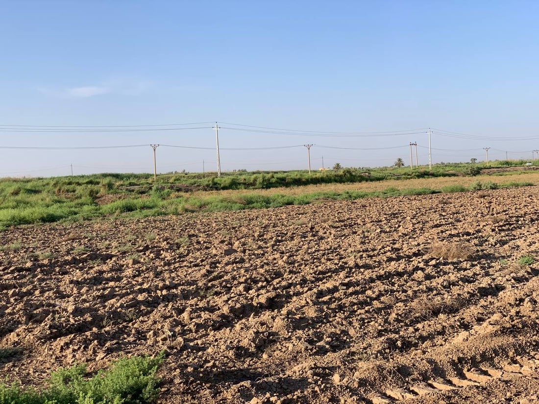 صور: 964 في صدر اليوسفية.. نهران يغذيان المنطقة لكن “جهات متنفذة” تعبث بأحدهما!