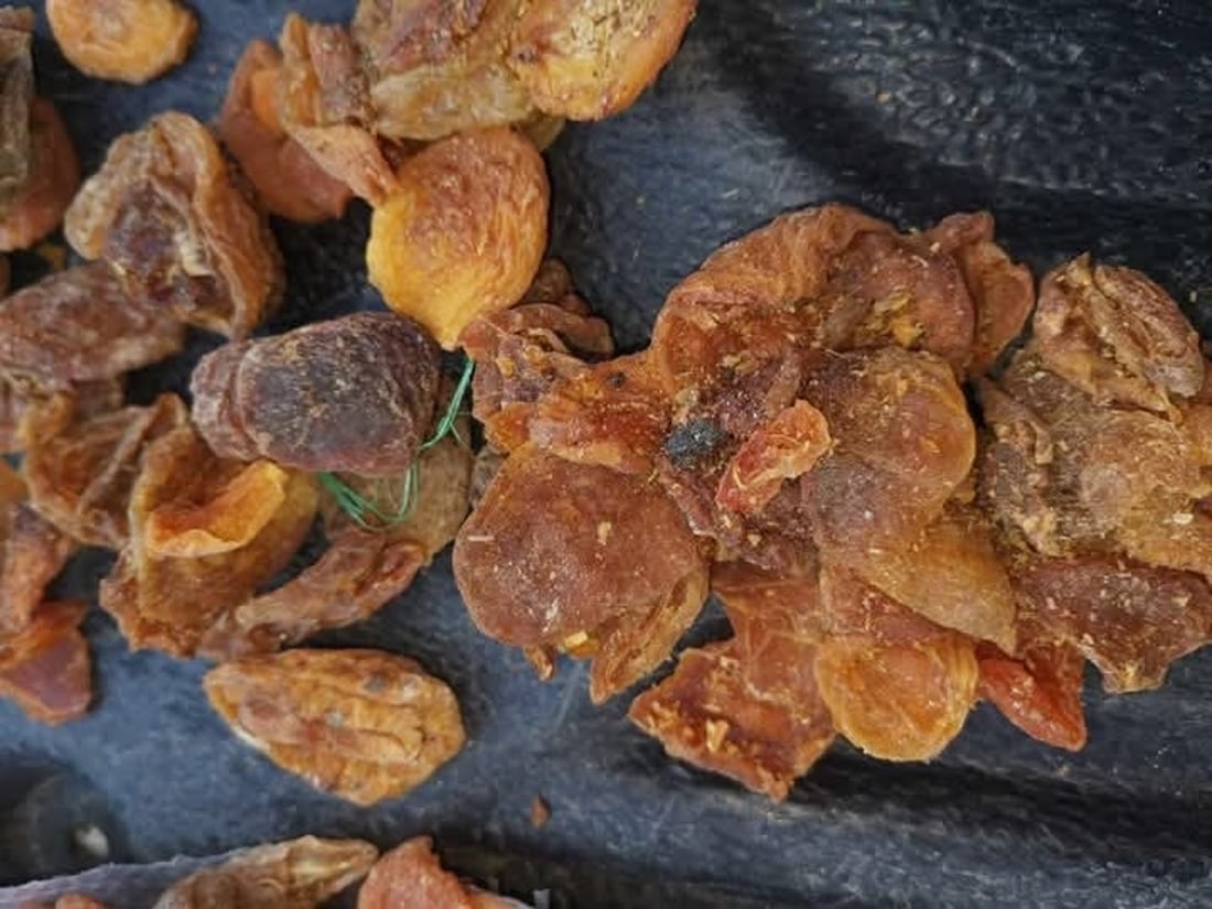 Halabja authorities seize 200 kg of spoiled apricots, destroy shipment