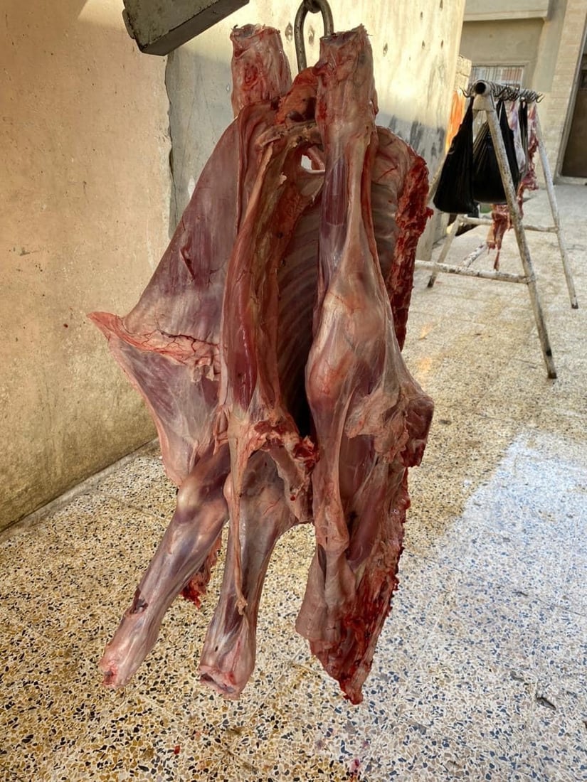 الموصل: اعتقال قصاب ومساعده بعد شكوى الجيران من رائحة المواشي (صور)