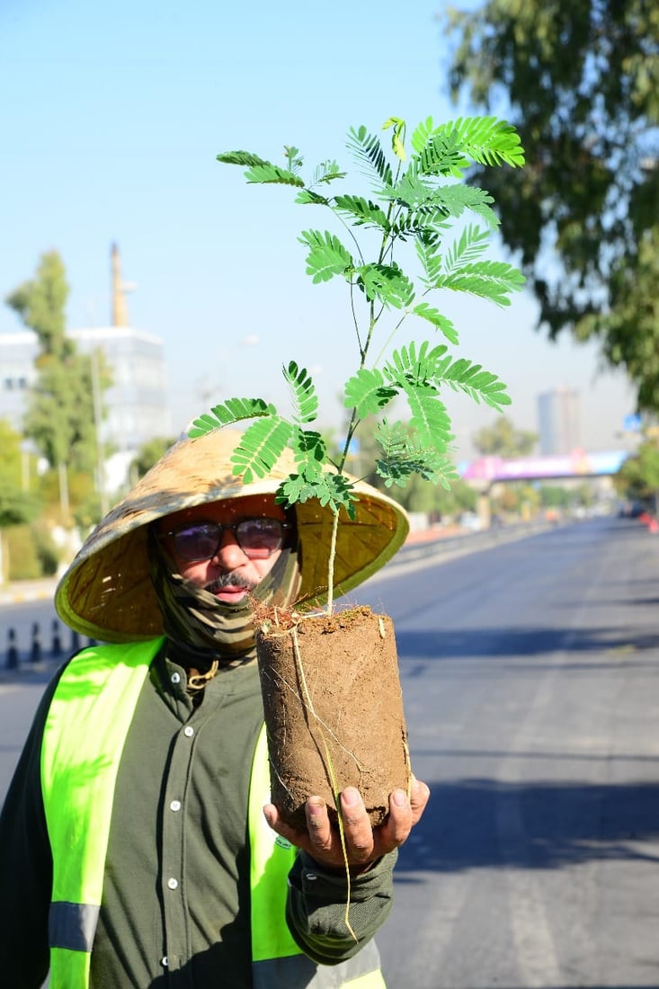 شەقام بە شەقام لەهەولێر دار دەچێندرێت