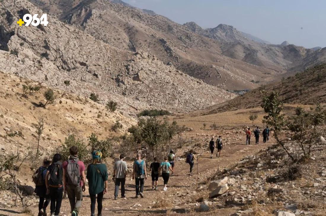 964mediaصورة من منصة (شبكة): 