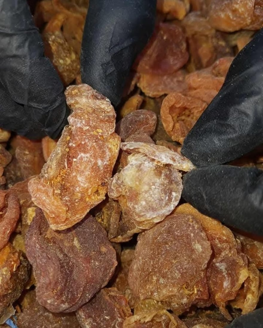 Halabja authorities seize 200 kg of spoiled apricots, destroy shipment